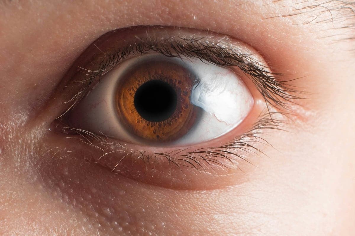 Close-up of a brown eye